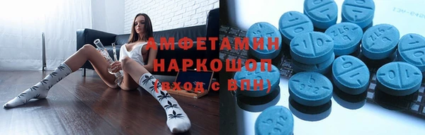 индика Вяземский