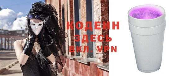 индика Вяземский