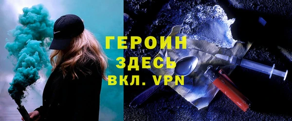индика Вяземский