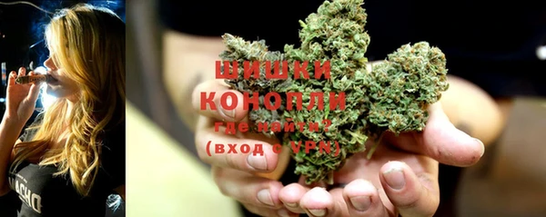индика Вяземский