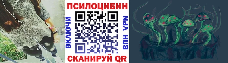 Псилоцибиновые грибы Psilocybe  купить наркотики цена  Верея 