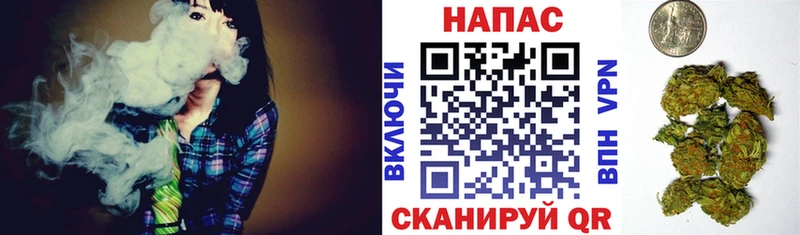 Бошки Шишки MAZAR  Верея 